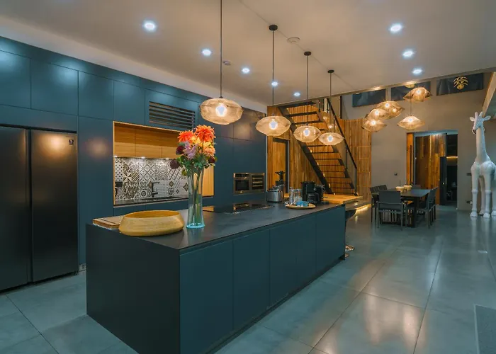 Aless - Designer 4br With Sauna, Jacuzzi, Ice Bath, Gym & Rooftop Villa *